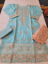 Pakistani Embroidered Party wear  Ready To Ship