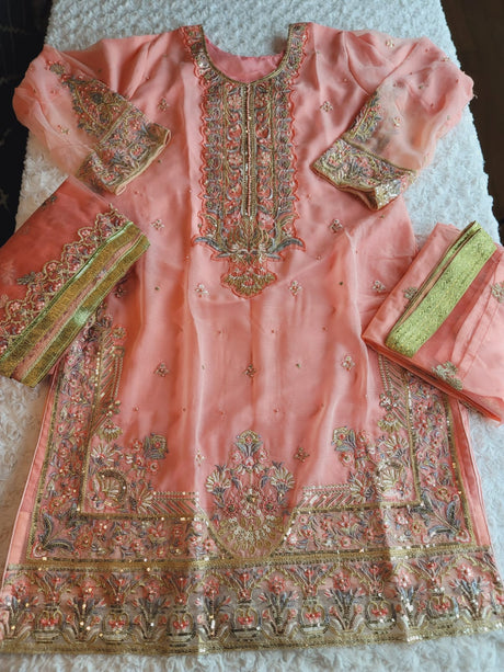 Pakistani Stitched Embroidery Party Wear Dresses Ready To Ship