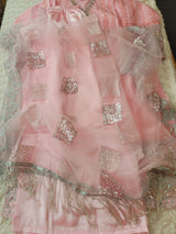 Pakistani Stitched Embroidery Party Wear Dresses Ready To Ship