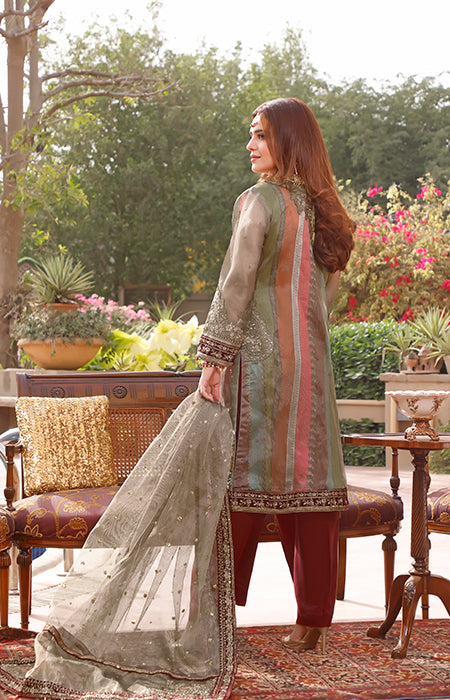 New Fancy Chiffon Collection 2022