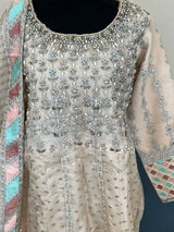 Pakistani Embroidered Party wear  Ready To Ship