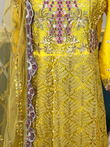 Pakistani Embroidered Party wear  Ready To Ship