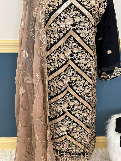 Pakistani Embroidered Party wear  Ready To Ship