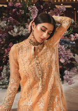 AIK Embroidered Chiffon Collection-100% Original Guaranteed