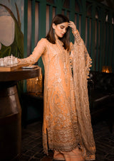 AIK Embroidered Chiffon Collection-100% Original Guaranteed