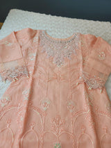 Pakistani Stitched Embroidery Party Wear Dresses Ready To Ship