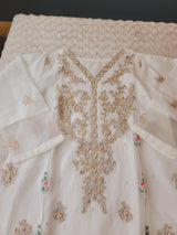 Pakistani Embroidered Party wear  Ready To Ship