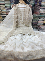 Luxury Party wear Ready To Ship