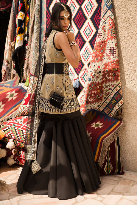 Elan Festive 2019 -100% Original Guaranteed