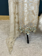 Pakistani Embroidered Party wear  Ready To Ship