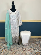 Pakistani Embroidered Party wear Ready To Ship
