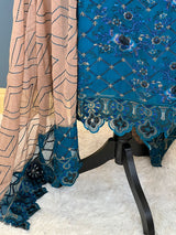 Pakistani Embroidered Party wear  Ready To Ship