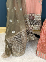 Pakistani Embroidered Party wear  Ready To Ship