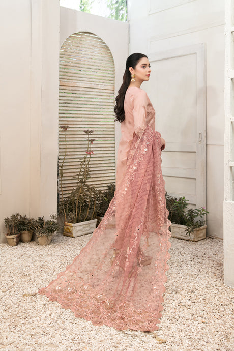 Aanchal by Tawakkal Collection 100% Original