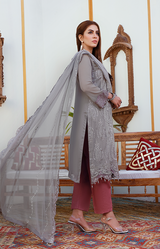 New Fancy Chiffon Collection 2022
