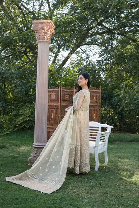 GUL PANRA By Tawakkal 100% Original