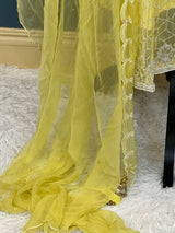 Pure zardousi Delhi Boutique