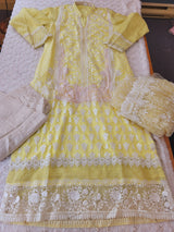 Pakistani Stitched Embroidery Party Wear Dresses Ready To Ship