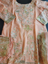 Pakistani Stitched Embroidery Party Wear Dresses Ready To Ship