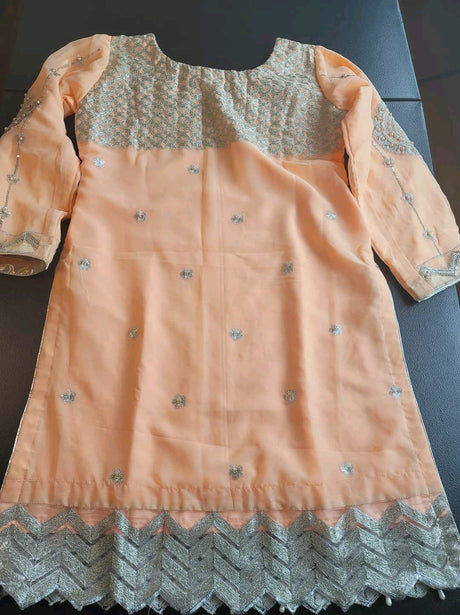 Pakistani Stitched Embroidery Party Wear Dresses Ready To Ship