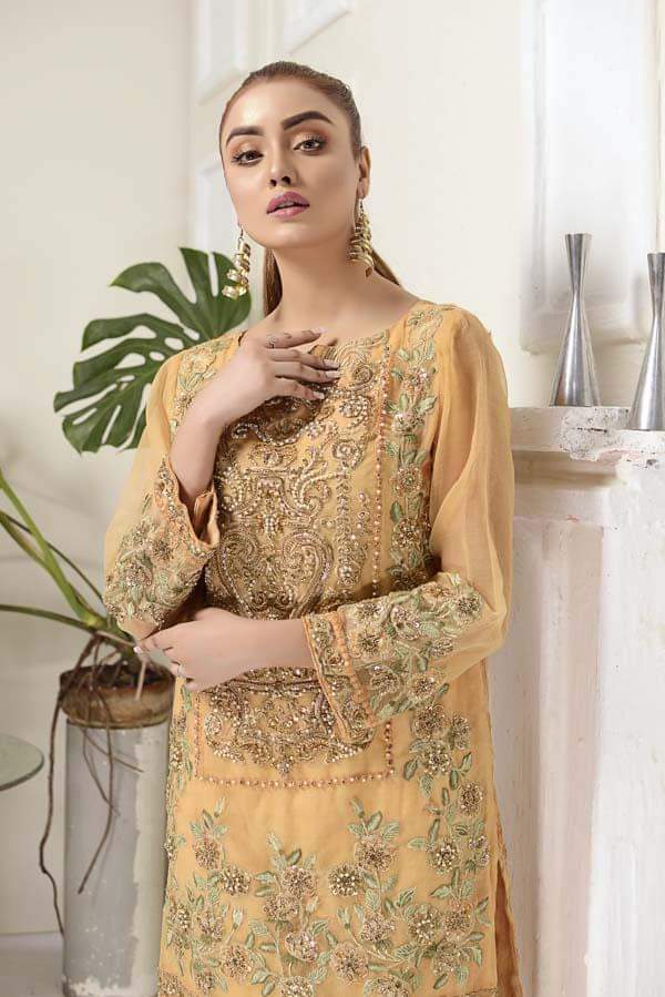 Adan's libas organza kurti 2020-100% Original Guaranteed