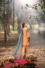Adan's Melody Wedding Festive Collection 2020- 100% Original Guaranteed