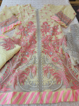 Pakistani Stitched Embroidery Party Wear Dresses Ready To Ship