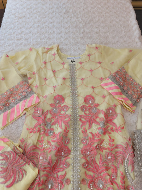 Pakistani Stitched Embroidery Party Wear Dresses Ready To Ship