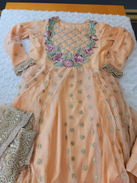 Pakistani Stitched Embroidery Party Wear Dresses Ready To Ship