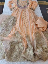 Pakistani Stitched Embroidery Party Wear Dresses Ready To Ship