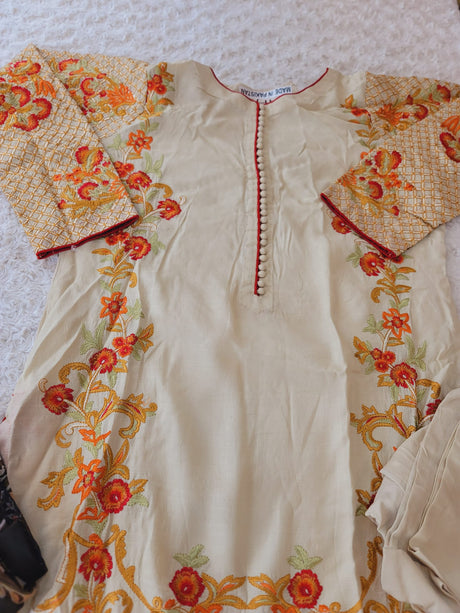 Pakistani Stitched Embroidery Party Wear Dresses Ready To Ship