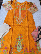 Indian Stitched Embroidery Suit Ready To Ship