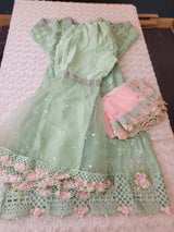 Pakistani Embroidered Party wear  Ready To Ship