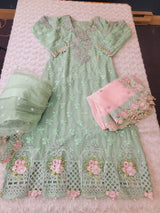 Pakistani Embroidered Party wear  Ready To Ship