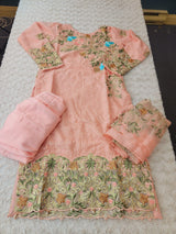 Pakistani Embroidered Party wear  Ready To Ship