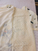 Pakistani Embroidered Party wear  Ready To Ship