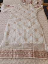 Pakistani Embroidered Party wear  Ready To Ship