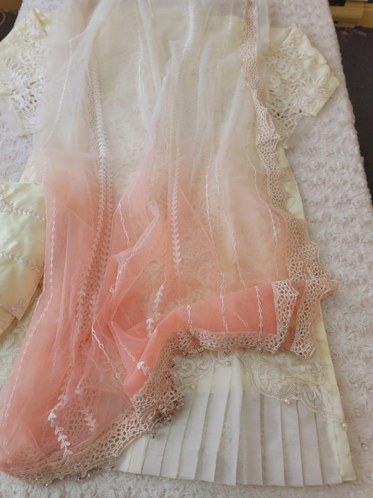 Pakistani Embroidered Party wear  Ready To Ship