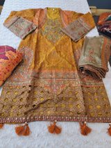 Pakistani Embroidered Party wear  Ready To Ship