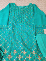 Pakistani Embroidered Party wear  Ready To Ship