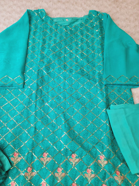 Pakistani Embroidered Party wear  Ready To Ship
