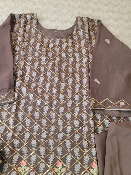 Pakistani Embroidered Party wear  Ready To Ship