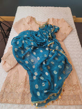 Pakistani Embroidered Party wear  Ready To Ship