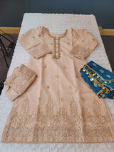 Pakistani Embroidered Party wear  Ready To Ship