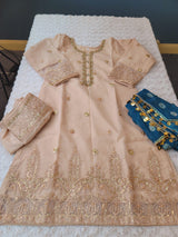 Pakistani Embroidered Party wear  Ready To Ship