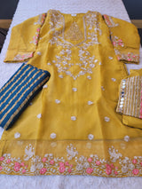 Pakistani Embroidered Party wear  Ready To Ship