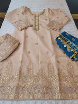 Pakistani Embroidered Party wear  Ready To Ship