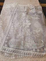 Pakistani Embroidered Party wear Ready To Ship