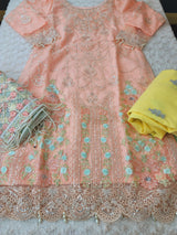 Pakistani Stitched Embroidery Party Wear Dresses Ready To Ship