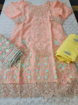 Pakistani Stitched Embroidery Party Wear Dresses Ready To Ship